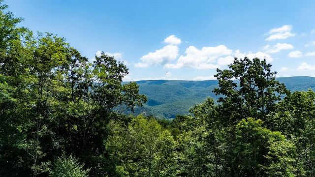 1063 S HIGH VALLEY DR, Monterey, VA 24465