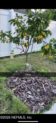 11828 COLLINS CREEK Drive, Jacksonville, FL 32258