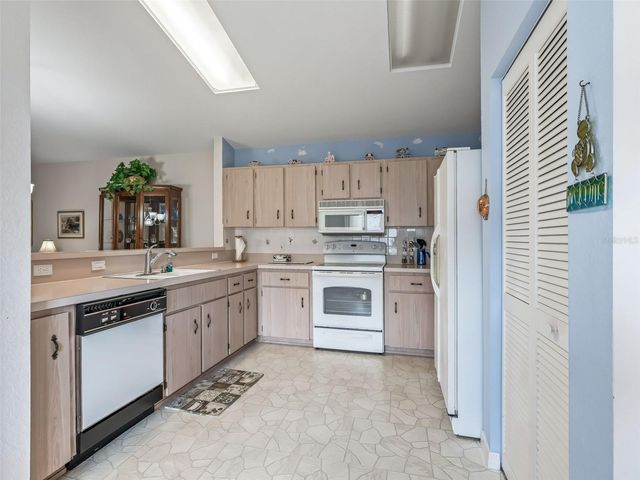 17719 SE 114TH COURT, Summerfield, FL 34491