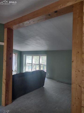 350 Brooks Lane, Woodland Park, CO 80863