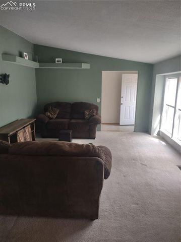 350 Brooks Lane, Woodland Park, CO 80863