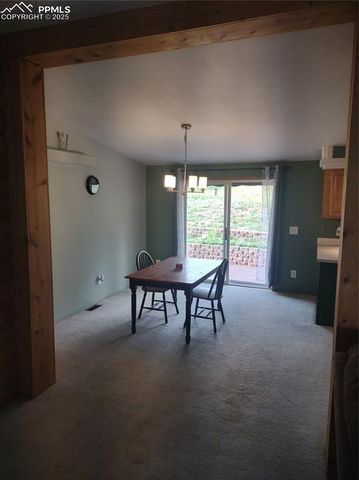 350 Brooks Lane, Woodland Park, CO 80863