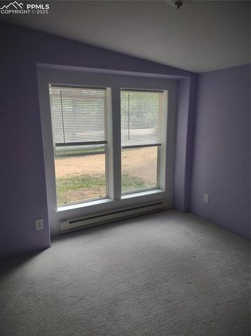 350 Brooks Lane, Woodland Park, CO 80863