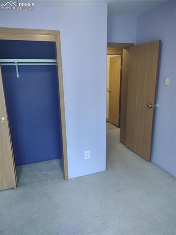 350 Brooks Lane, Woodland Park, CO 80863