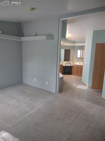 350 Brooks Lane, Woodland Park, CO 80863