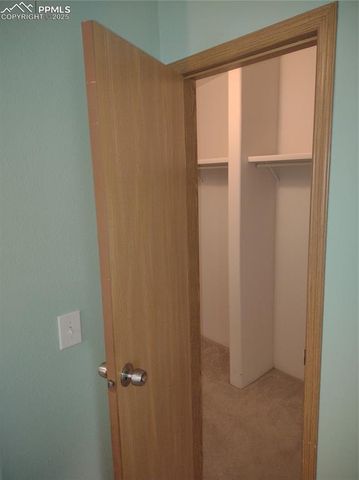 350 Brooks Lane, Woodland Park, CO 80863