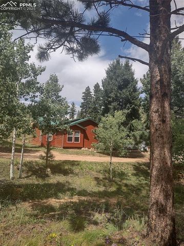 350 Brooks Lane, Woodland Park, CO 80863