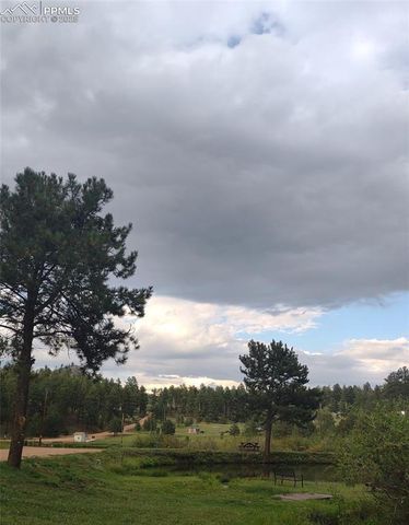 350 Brooks Lane, Woodland Park, CO 80863