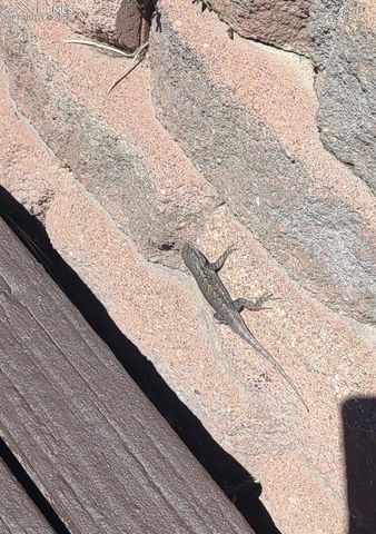 350 Brooks Lane, Woodland Park, CO 80863