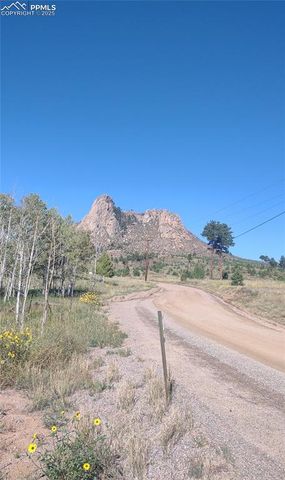 350 Brooks Lane, Woodland Park, CO 80863