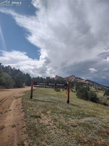 350 Brooks Lane, Woodland Park, CO 80863