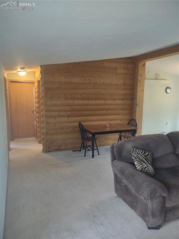 350 Brooks Lane, Woodland Park, CO 80863