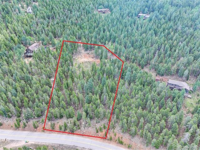11275 Bear Run Trl, Conifer, CO 80433