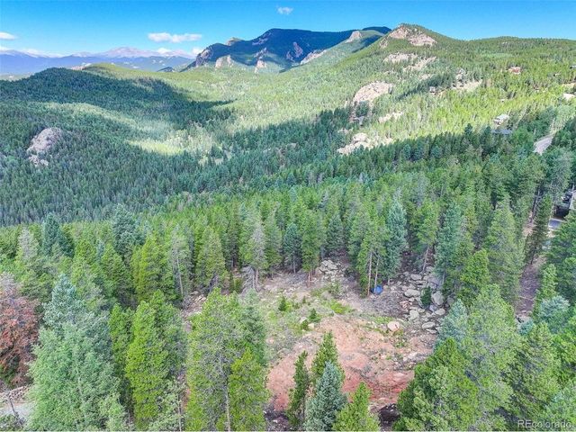 11275 Bear Run Trl, Conifer, CO 80433