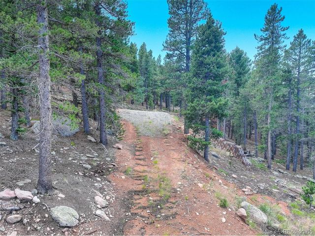 11275 Bear Run Trl, Conifer, CO 80433