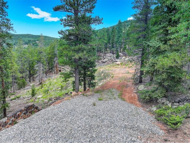11275 Bear Run Trl, Conifer, CO 80433