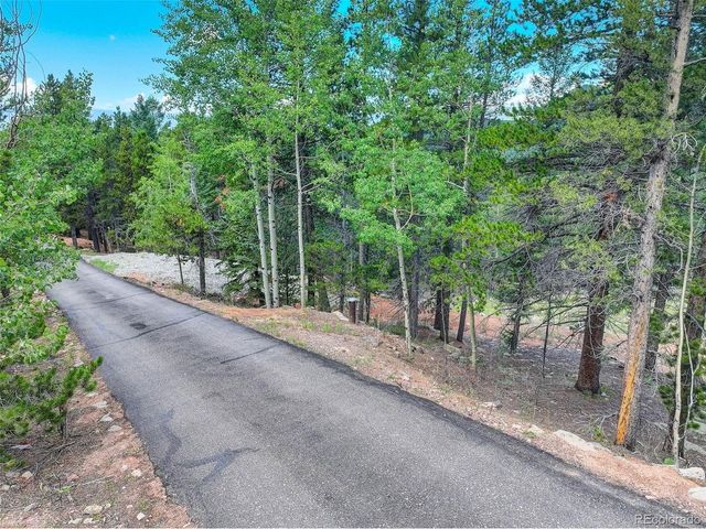 11275 Bear Run Trl, Conifer, CO 80433