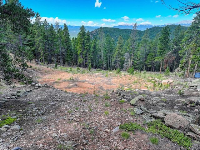 11275 Bear Run Trl, Conifer, CO 80433