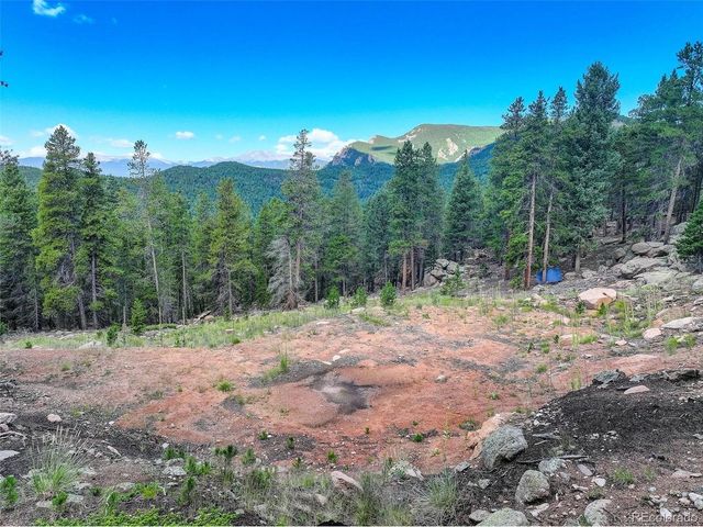 11275 Bear Run Trl, Conifer, CO 80433