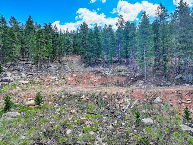 11275 Bear Run Trl, Conifer, CO 80433