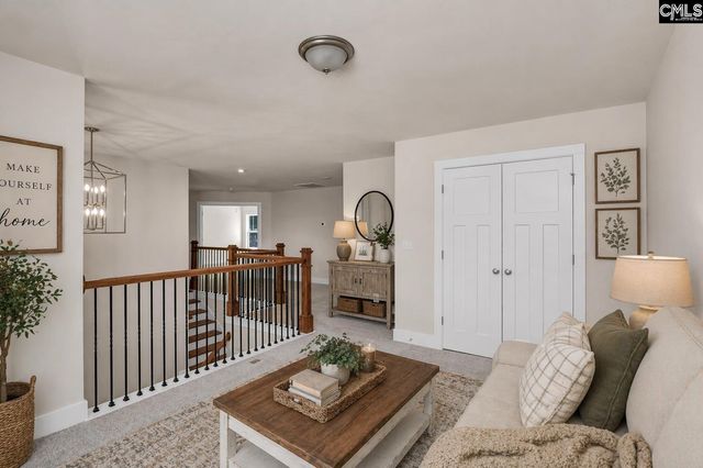 119 Greengarden Drive, Chapin, SC 29036