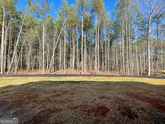2365 New Hope Rd LOT 2, Locust Grove, GA 30248