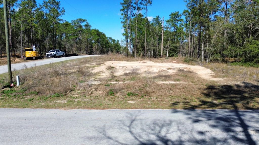 24491 NW HEMLOCK AVENUE, Dunnellon, FL 34431