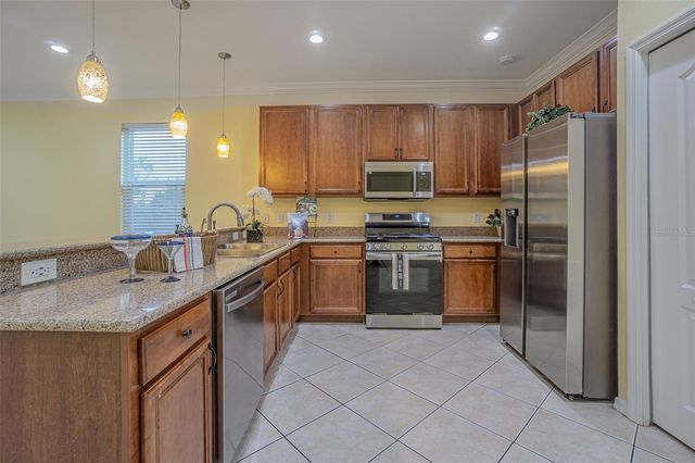 20520 SULTANA COURT, Tampa, FL 33647