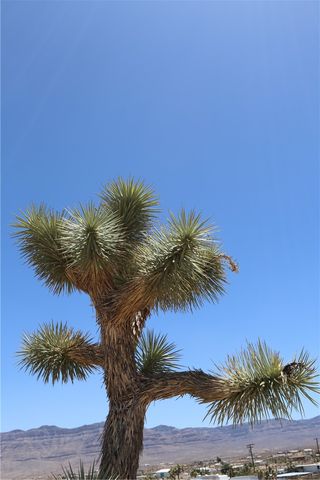 470 Silver Creek Road, Meadview, AZ 86444