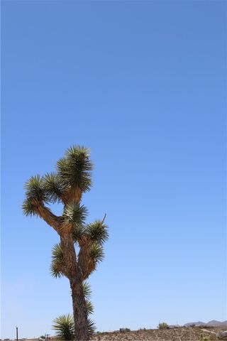 470 Silver Creek Road, Meadview, AZ 86444