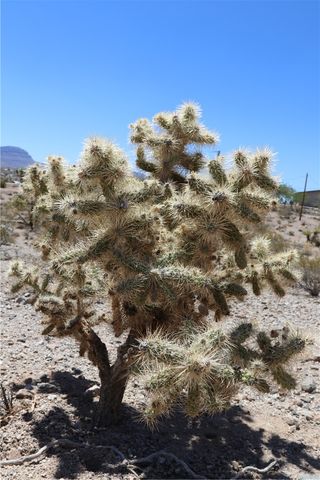 470 Silver Creek Road, Meadview, AZ 86444