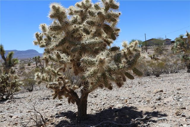 470 Silver Creek Road, Meadview, AZ 86444