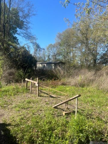 31937 William Kelly Ln, Denham Springs, LA 70726