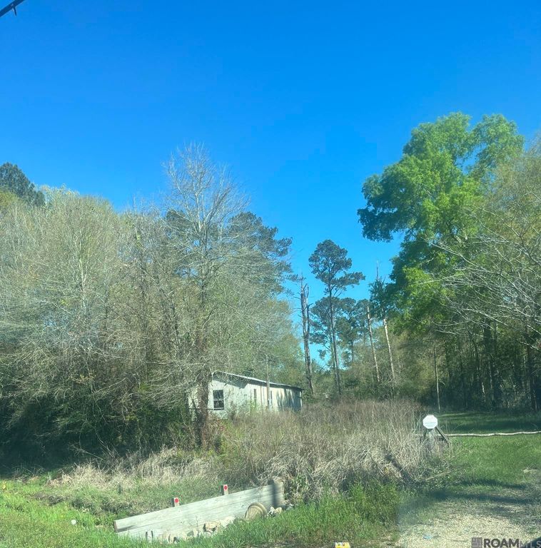 31937 William Kelly Ln, Denham Springs, LA 70726