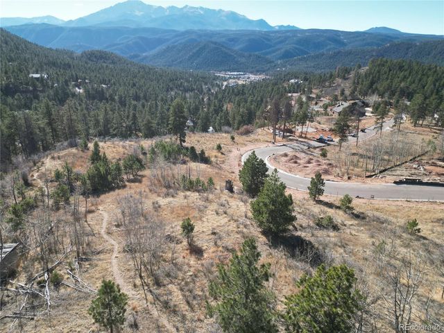 19 Blue Haven Place, Woodland Park, CO 80863