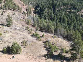 19 Blue Haven Place, Woodland Park, CO 80863