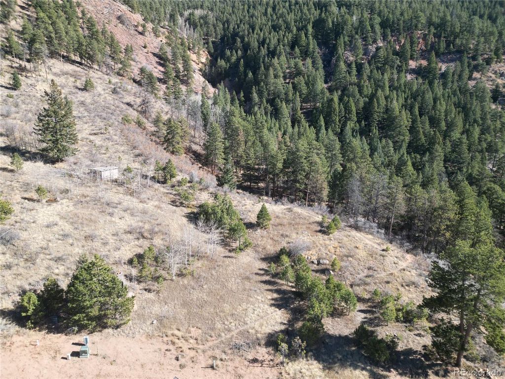 19 Blue Haven Place, Woodland Park, CO 80863