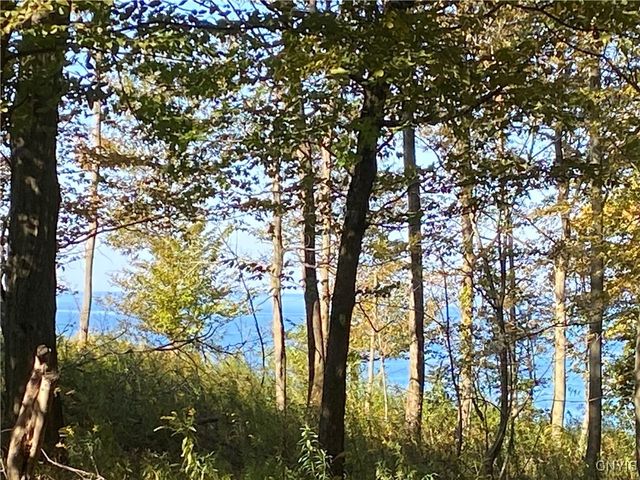 12795 Scott Bluff Drive, Wolcott, NY 14590