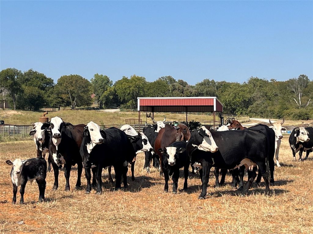 TBD # 12 Briar Road, Azle, TX 76020 — photo 4