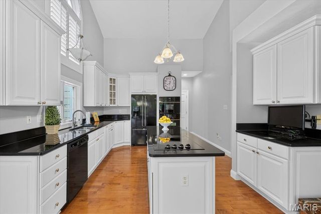 17715 Drummer Lane, Wildwood, MO 63005