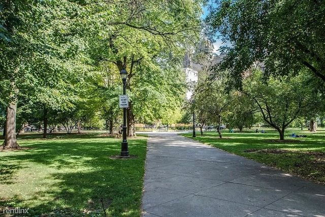 1011 N La Salle Drive 1W, Chicago, IL 60610