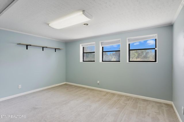 420 First St, Seymour, TN 37865