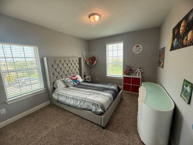 2806 Emerald Pines Lane, Iowa Colony, TX 77583