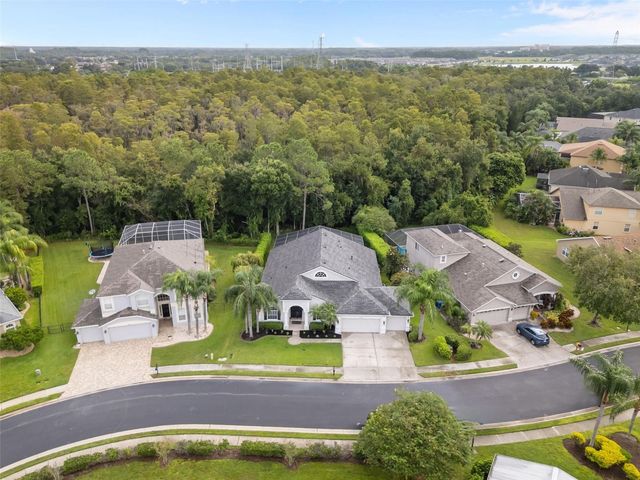 7729 ARELLI DRIVE, Trinity, FL 34655