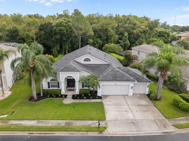 7729 ARELLI DRIVE, Trinity, FL 34655