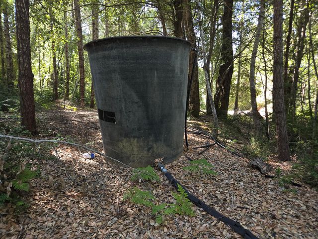 5004 Sprowl Creek Road, Garberville, CA 95542