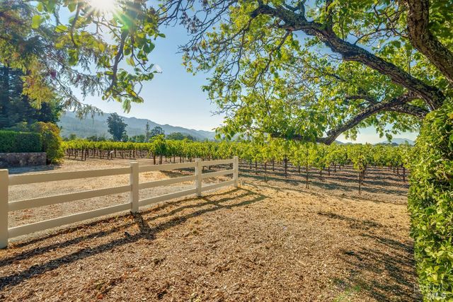 1234 Davis Ln, St. Helena, CA 94574