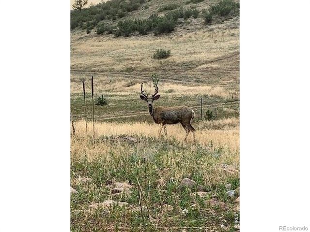 223 Stone Canyon Road, Lyons, CO 80540