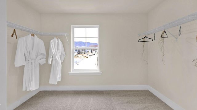 8369 Lake Scene Court, Ooltewah, TN 37363