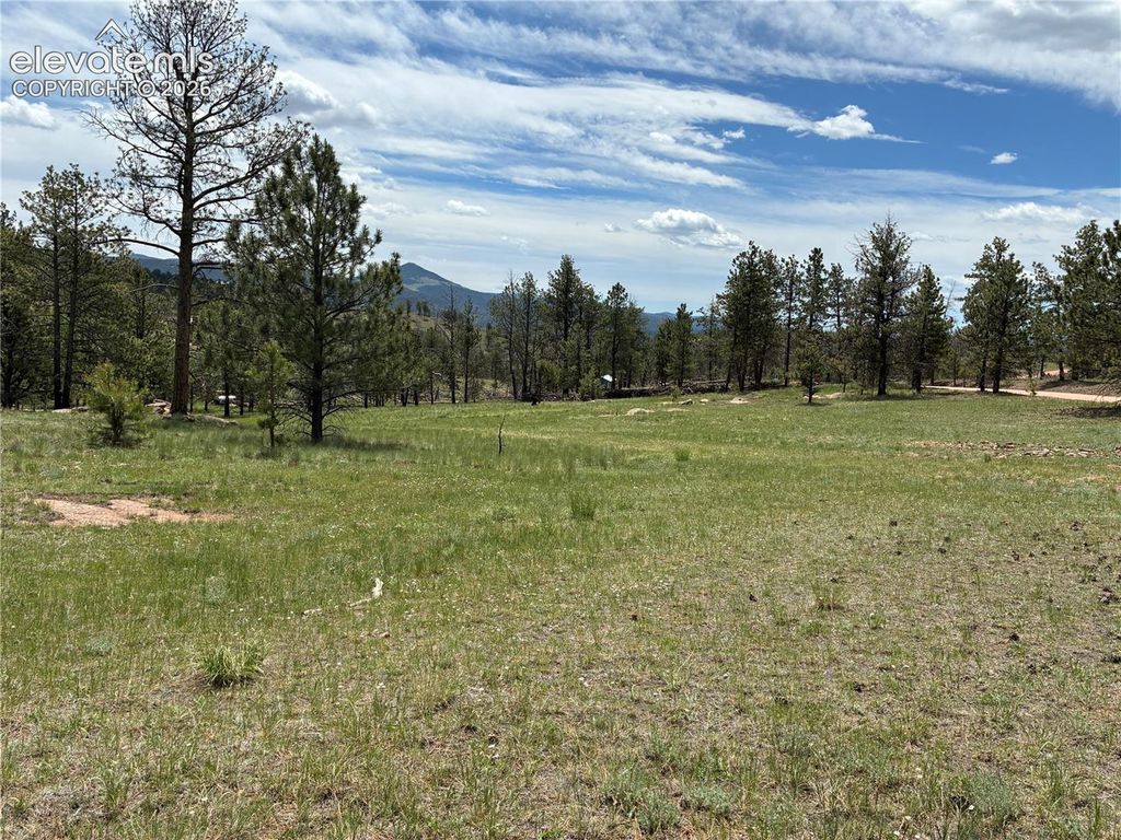 266 Chapparal Trail, Florissant, CO 80816 — exterior